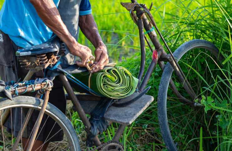 Ciclovia Adriatica: da Trieste alla Puglia in bicicletta