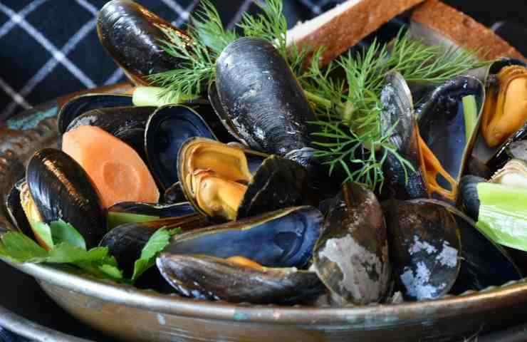 Cozze Un Consiglio Mangiale Nei Mesi Con La R Perch Cozze Un Consiglio Mangiale Nei Mesi Con La R Perch