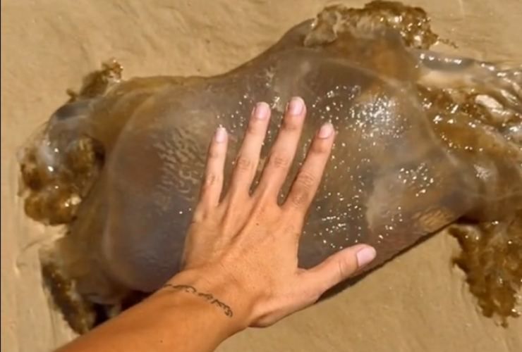 La spiaggia più pericolosa al mondo è sull'isola di Fraser