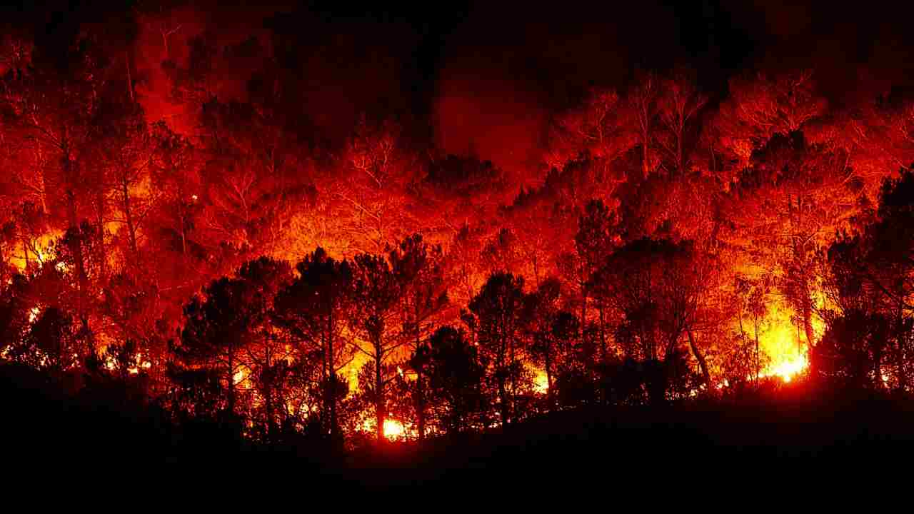 Incendi Terralba è allarme arancione in Sardegna