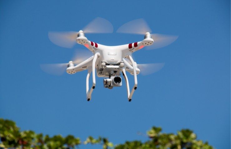 Drone riprende qualcosa di clamoroso in una foresta