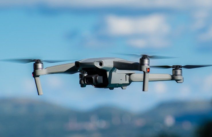 Drone riprende qualcosa di clamoroso in una foresta