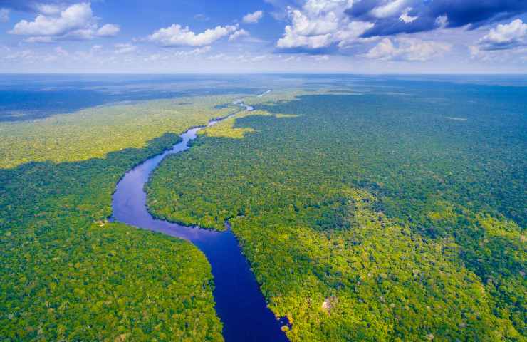 Deforestazione dell'Amazzonia, finalmente la politica fa qualcosa