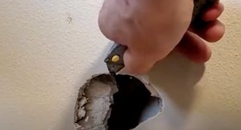 Dal muro proveniva qualcosa di strano: senza parole quando scopre di cosa si tratta