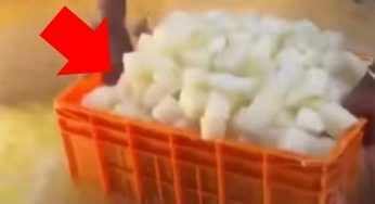 Frutta confezionata già tagliata: non vorresti sapere come la preparano – VIDEO