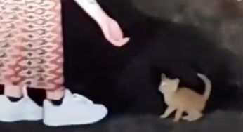 Lo trovano spaventato in strada: senza pensarci su gli donano una famiglia