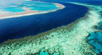 Australia, minacciata la Grande Barriera Corallina: i dettagli