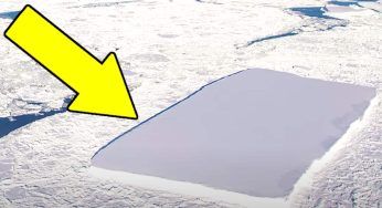 L’iceberg ha qualcosa di davvero unico e strano: non crederai alle immagini