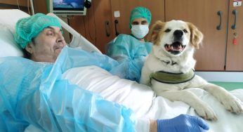 Ricoverato da un anno, il suo desiderio è rivedere il suo cane: l’ospedale lo esaudisce