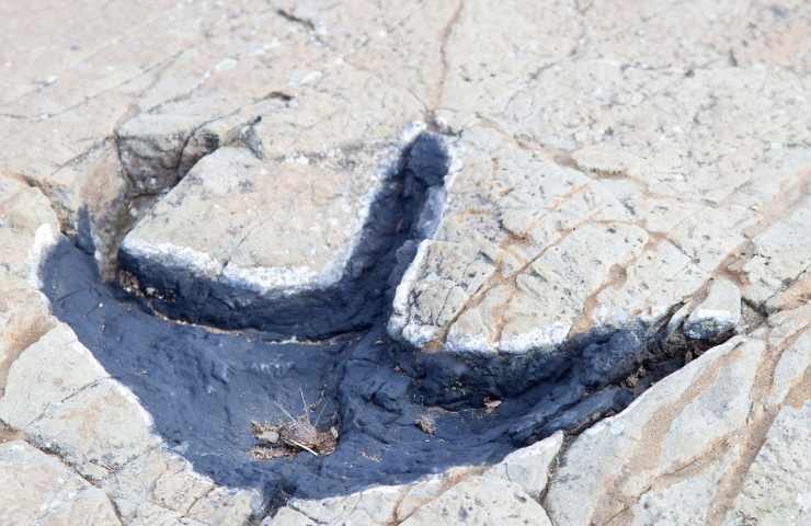 Da un cratere in Bolivia emerge l'impronta di un mostro