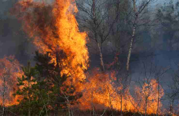 Fumo e incendi