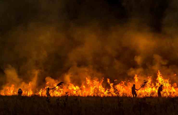 Incendi e fiamme