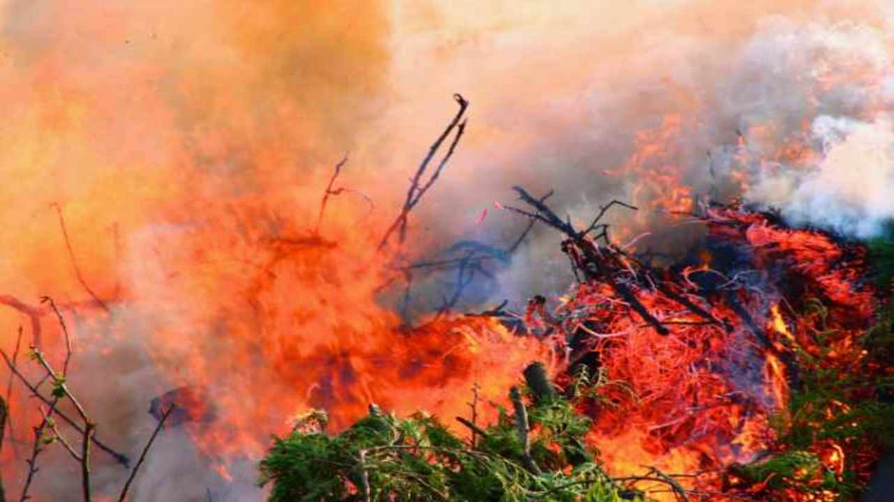Hawaii incendi 36 morti Mauii
