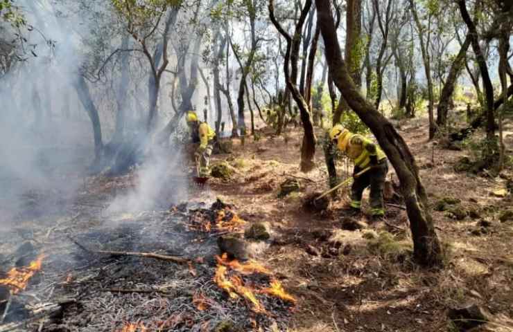 incendio tenerife dove è scoppiato