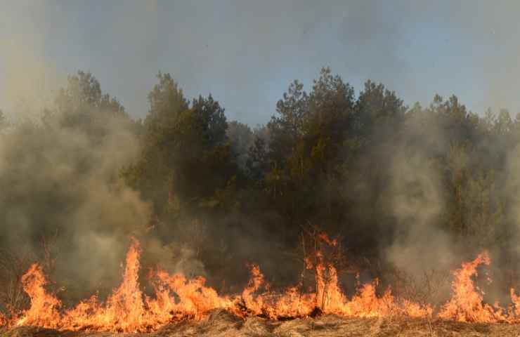 Incendi Sardegna emergenza