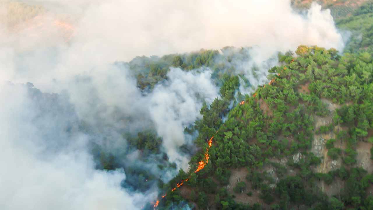 Canada emissioni incendi carbonio dati