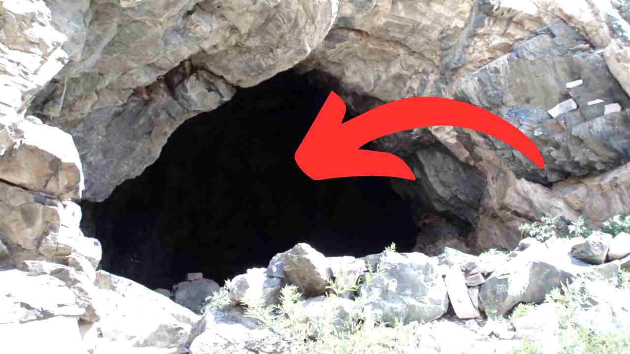 Cacciatore trova e salva dei cuccioli in una grotta