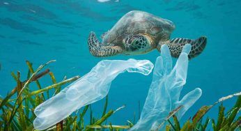 Italia e acque inquinate: i mari nella classifica dei peggiori