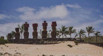 Isola di Pasqua, piantati molti alberi: il perché