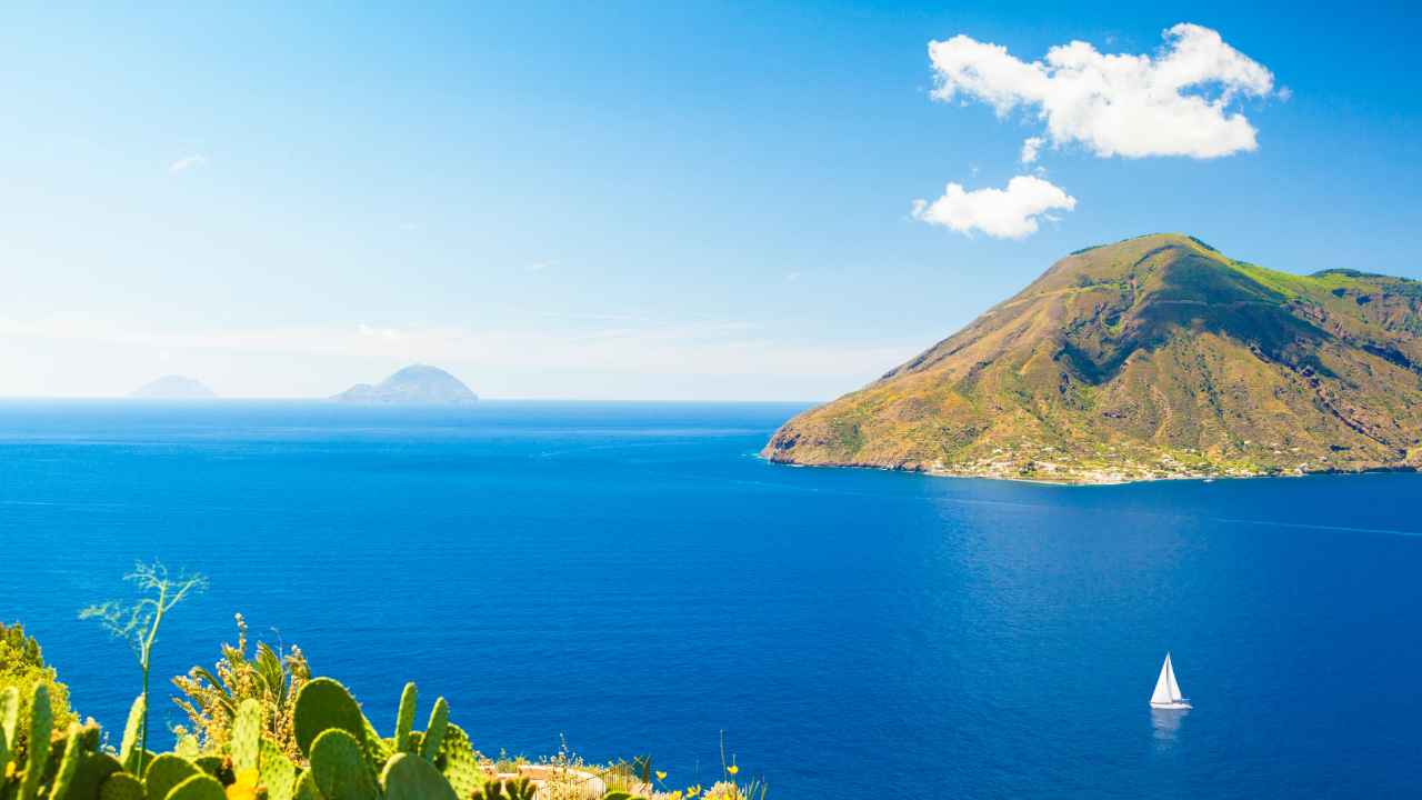 Isole Eolie lucertola estinzione progetto