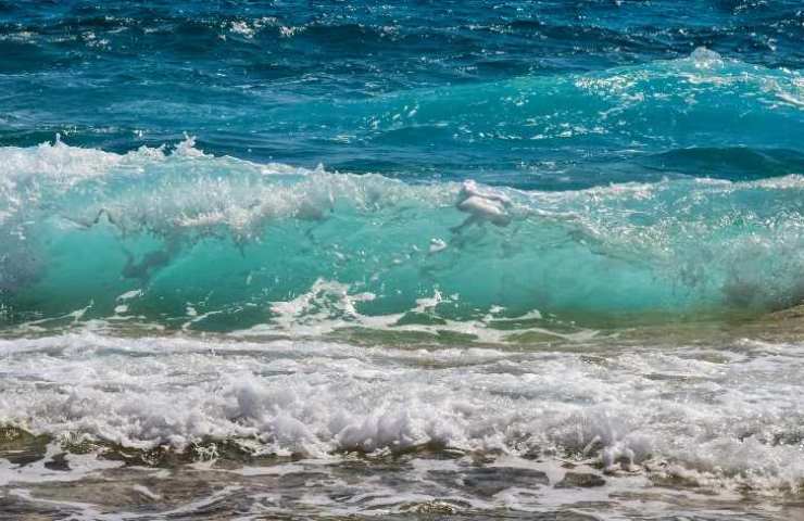 Oceano Pacifico, le onde anomale 