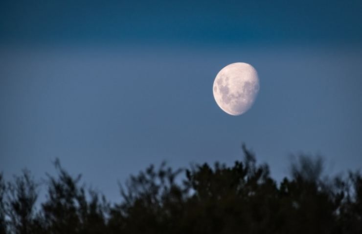 Luna, la curiosità 