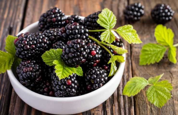 more frutto ricco di vitamine antiossidante 