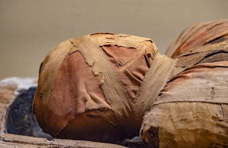 Malattia coccidioidomicosi mummia Bolivia occidentale