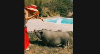 Naike Rivelli imbocca il suo maiale domestico in giardino: il simpatico VIDEO