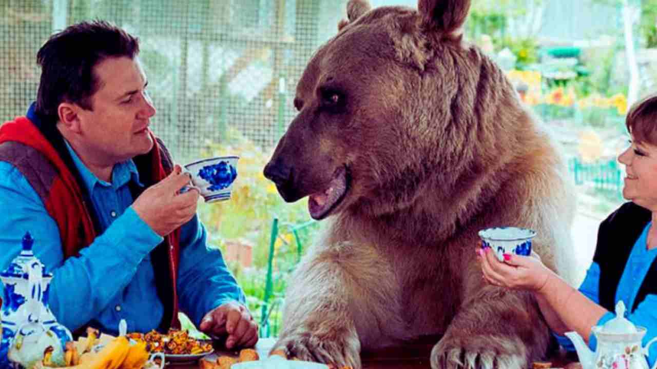 Coniugi adottano orso che ora pesa 140 kg