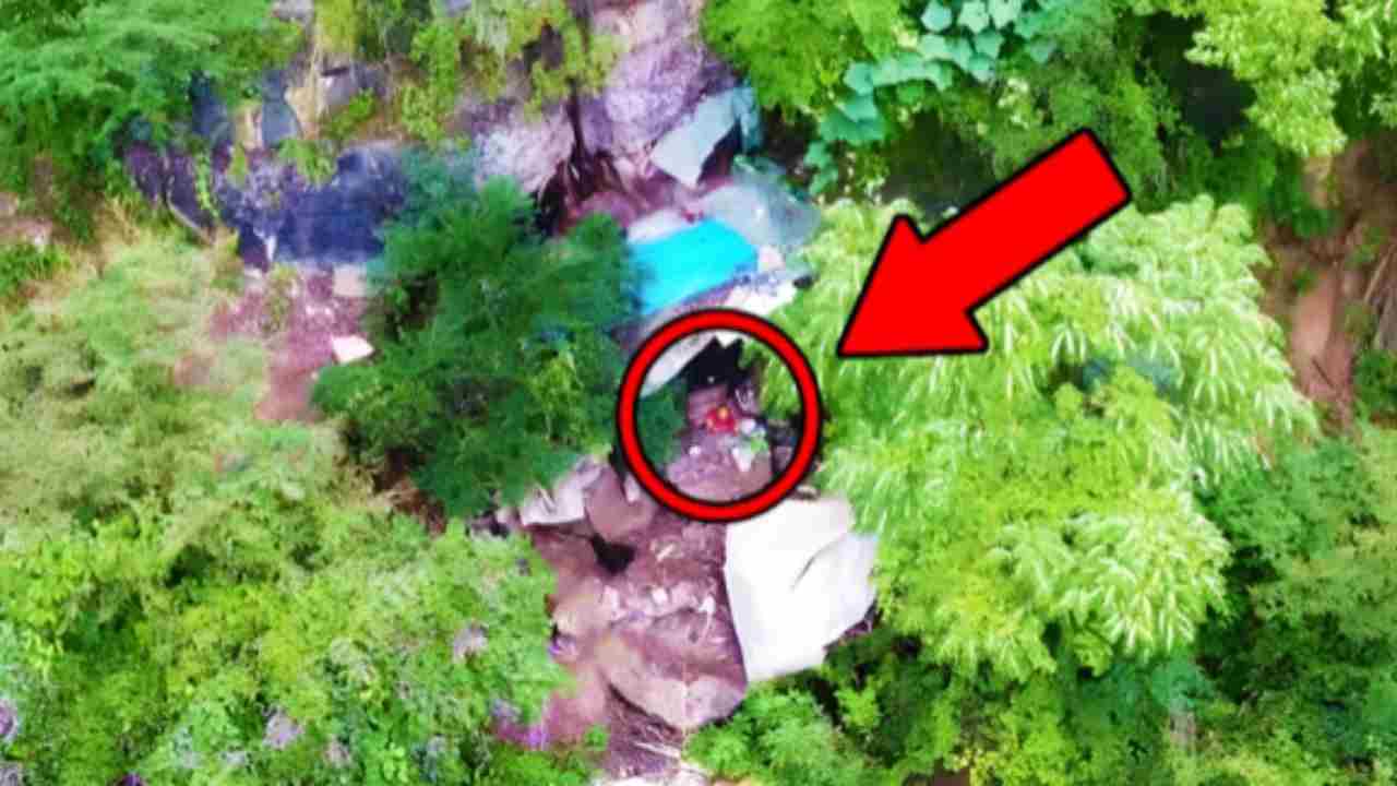 Drone riprende qualcosa di clamoroso in una foresta