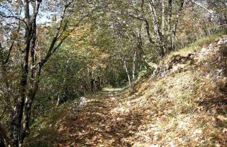 Parco Regionale del Matese: la meraviglia