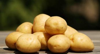 Puoi conservare le patate più a lungo: ti basterà una mela
