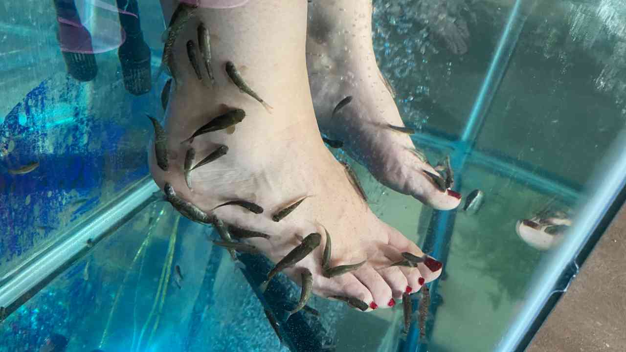 Rischi infezioni fish pedicure