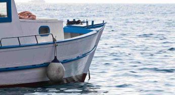 Vietata la pesca di queste specie: dove in Italia. È illegale