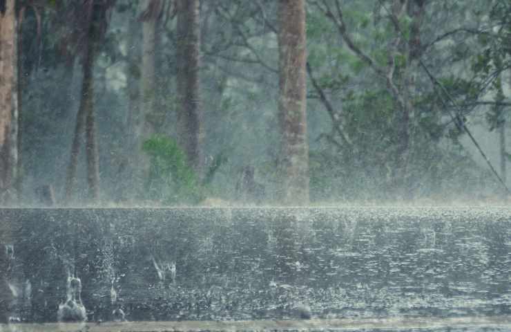 Preoccupazione cambiamento climatico studio