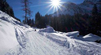 Cortina 2026: ambientalisti protestano per la nuova pista da bob