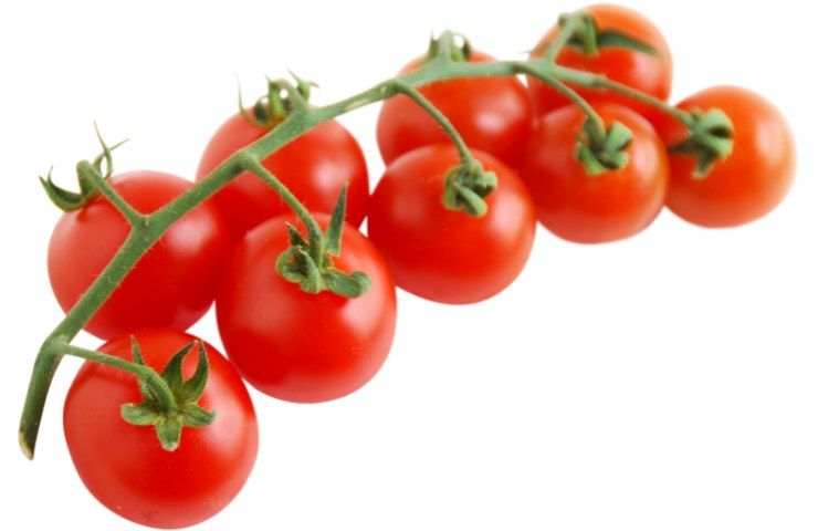 Vita in pericolo per quello che pensava fossero pomodori