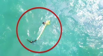 Trovati per puro caso: sfiorata la tragedia – le IMMAGINI