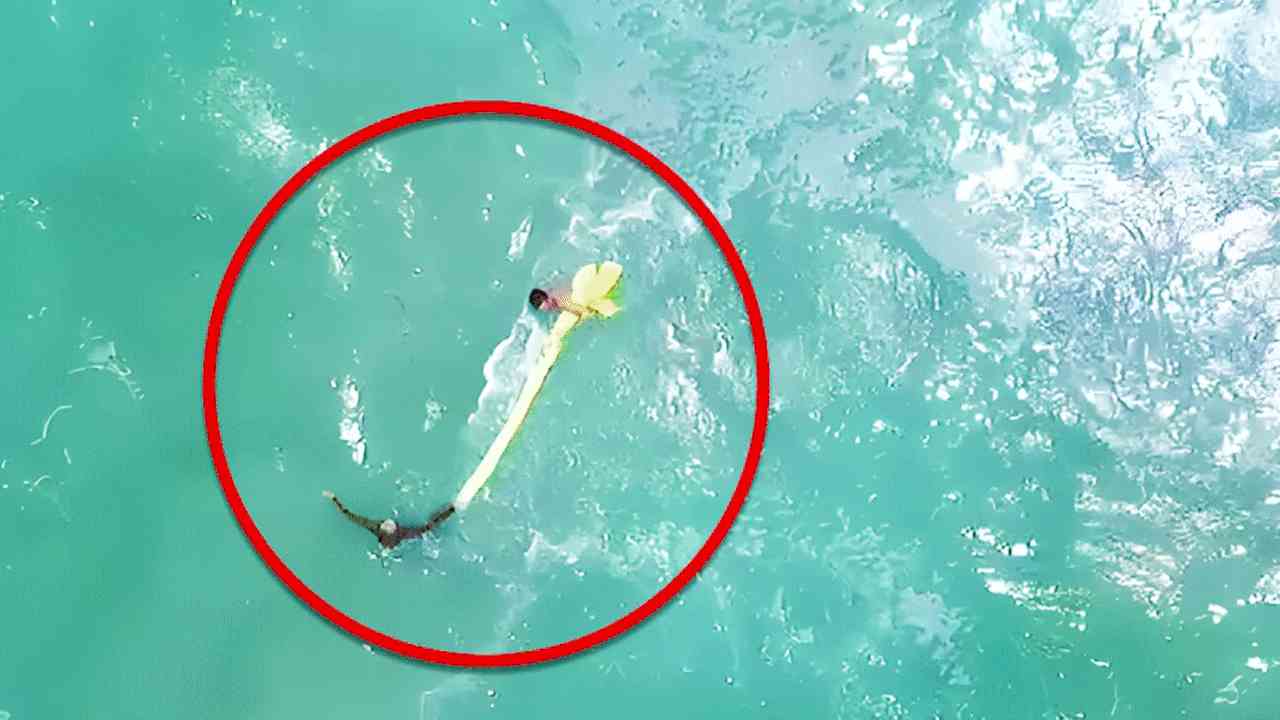 Adolescenti largo oceano Australia salvataggio drone