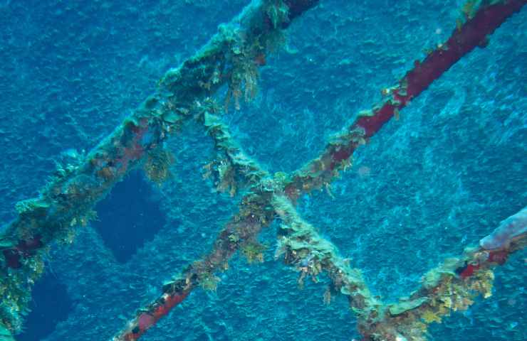 Vulcani relitto Canale Sicilia