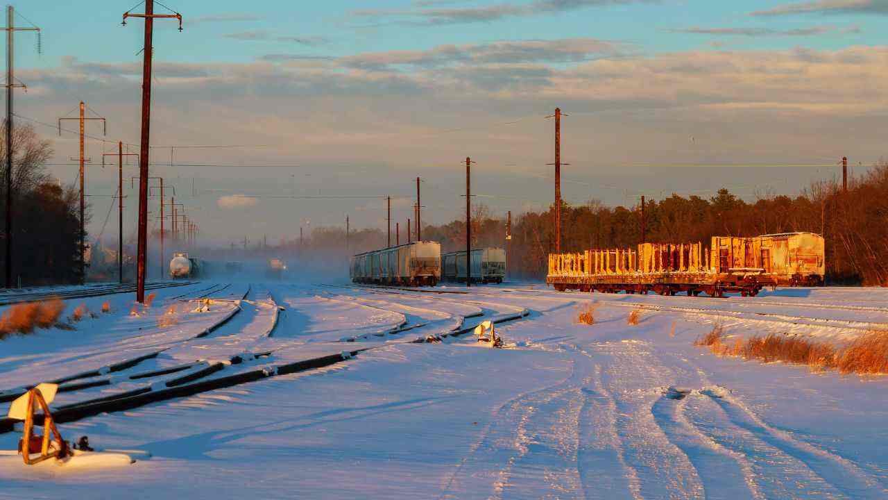 tigre incastrata rotaie treno