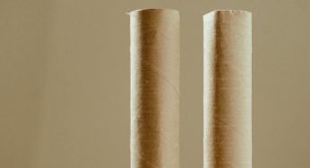 Rotoli di scottex ormai terminati: perché gettarli se puoi fare questo
