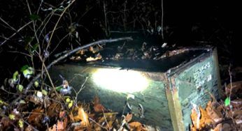 L’Husky porta la sua padrona nel bosco: quello che trova non la fa smettere di piangere