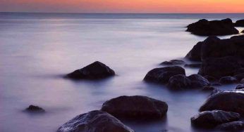 Long Island nel panico: un branco da 50 squali si aggira nelle acque