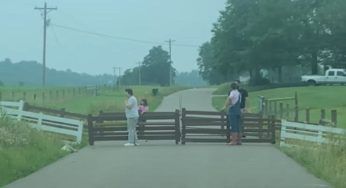 Sono lentissime: le due pecore bloccano il traffico e non gliene importa nulla – VIDEO