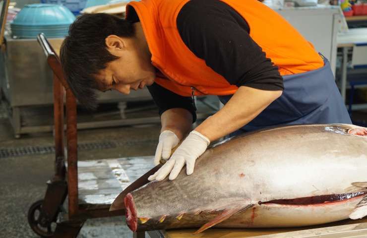Cina vieta importazione pesce Giappone