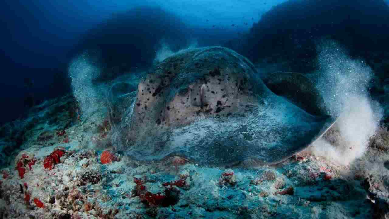 Canale Sicilia scoperti vulcani sottomarini