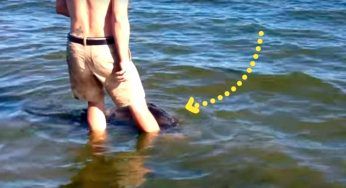 Entra in acqua quando qualcosa gli tocca la gamba, o meglio qualcuno…