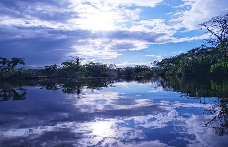 Amazzonia referendum acqua